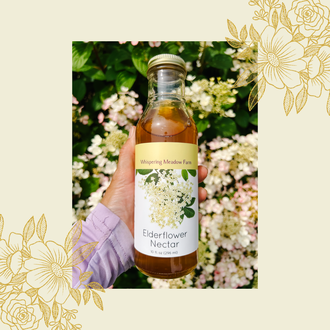 A hand holding a bottle of Elderflower Nectar with hydrangeas in background.