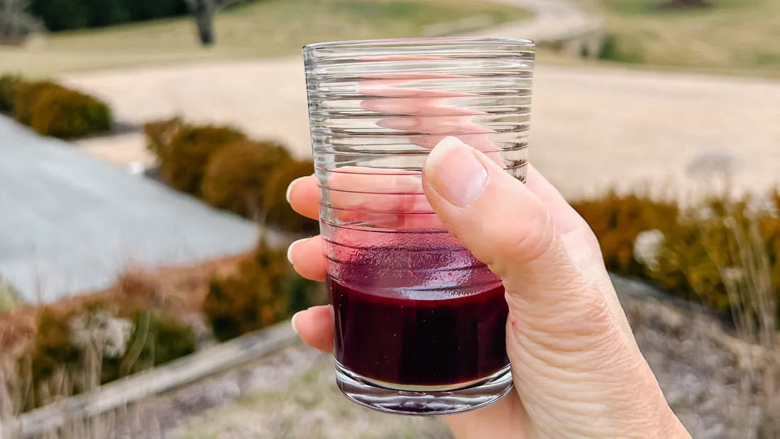 A Daily Dose of Elderberry Juice