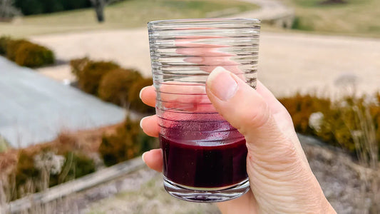 A Daily Dose of Elderberry Juice