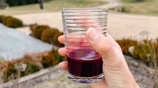 Outreached hand holding a small glass of Elderberry Juice 